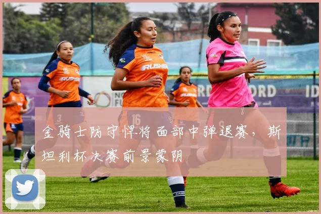 金骑士防守悍将面部中弹退赛，斯坦利杯决赛前景蒙阴